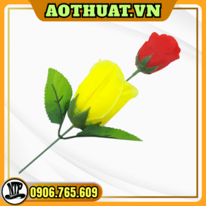 Ảo thuật hoa hồng đổi màu