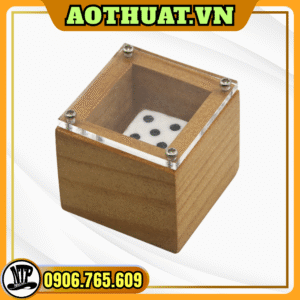 Ảo thuật hộp xí ngầu tiên tri đổi mặt