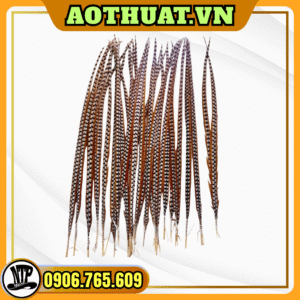 Lông trĩ gắn mão 1m5 - 1m6