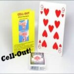 Product Thumbnail