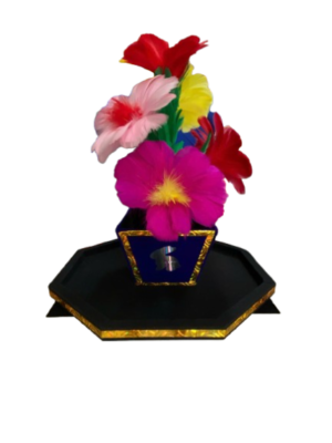 Bàn xuất hiện chậu hoa(A flower pot appears on the table)